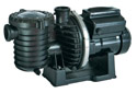 Sta-Rite IntelliPro Variable Speed Pump